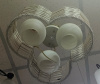 IMG_20251024_164650_975